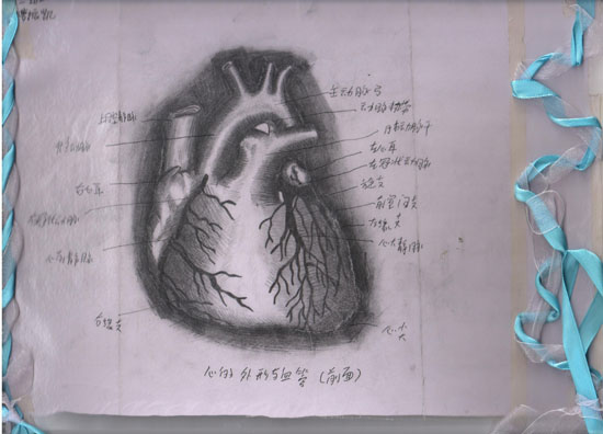 医学绘图比赛作品展示Ⅱ(图7)